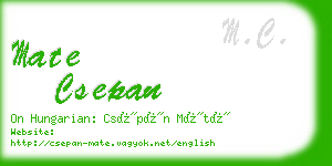 mate csepan business card